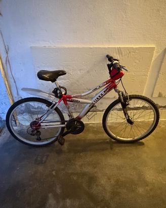 Mountain bike 24
