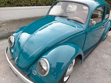 Volkswagen maggiolino 