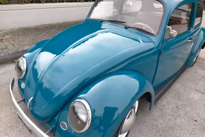 Volkswagen maggiolino 