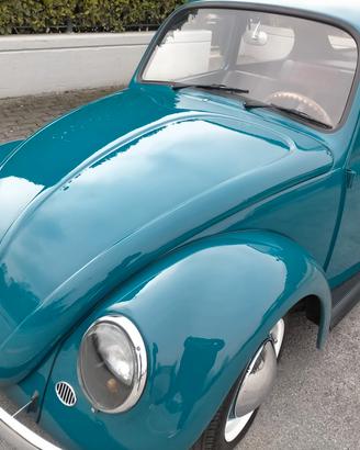 Volkswagen maggiolino 