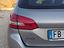 Immagine 11