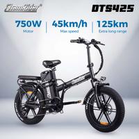 Chamrider DTS425,  48V32AH Battery Nuova