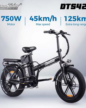 Chamrider DTS425,  48V32AH Battery Nuova