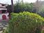 Immagine 27