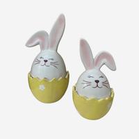 Coppia articoli decorativi in ceramica - Giallo