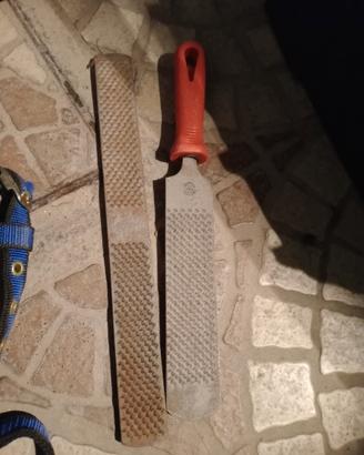 Lima raspa zoccolo cavalli