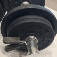 Coppia di manubri domyos 10 kg