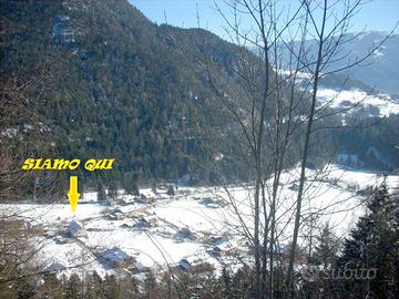 VACANZE in VAL DI FIEMME 7/8p -BREVI PERIODI