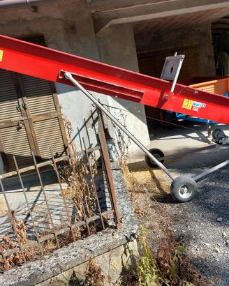 nastro trasportatore per legna