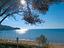 Immagine 9