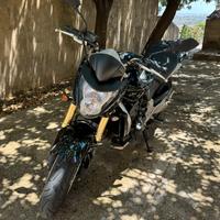 Honda Hornet