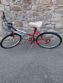 Mtb Legnano