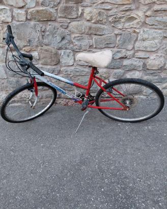 Mtb Legnano