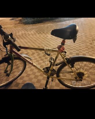 bicicletta 
