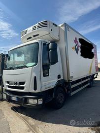 IVECO EUROCARGO FRIGO