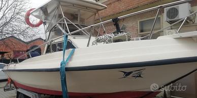 Triakis 21 gabian