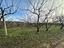 Immagine 25