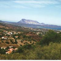 TERRENO AGRICOLO vista mare
