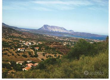 TERRENO AGRICOLO vista mare