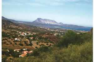 TERRENO AGRICOLO vista mare