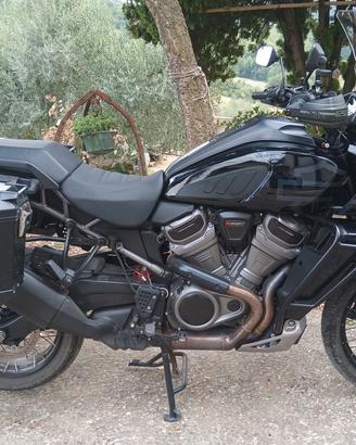 Harley Davidson Pan America Special (2023)ARH 