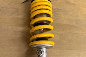 Mono Sachs Ducati Monster