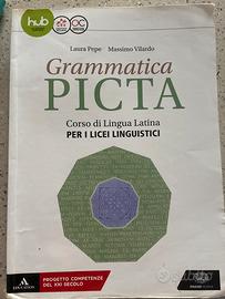 Libro Grammatica picta latino