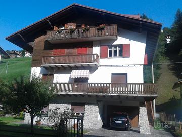 Appartamento Dolomiti Cadore Cortina Sappada
