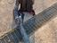 Immagine 2