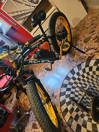 bici fatbike bitrich 012 