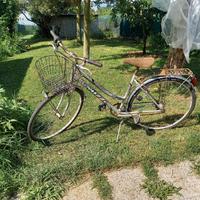 bicicletta 