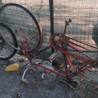 Bici Bottecchia
