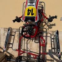 Telaio BirelArt S18 mod. PA