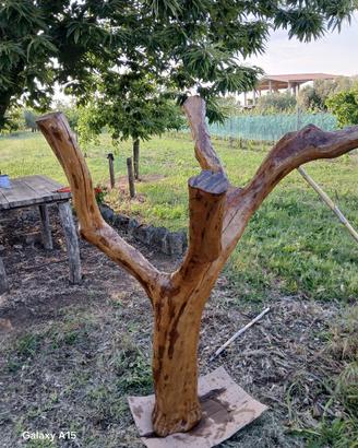 tronco di olivo per arredamento