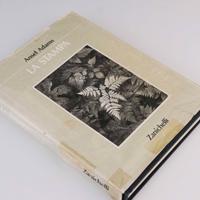Ansel Adams - LA STAMPA - Zanichelli