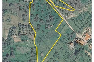  Terreno-Uliveto 7550 MQ Agrigento 
