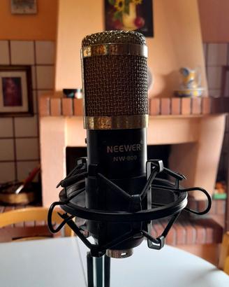 Microfono Neewer NW800 (Valuto Scambi)