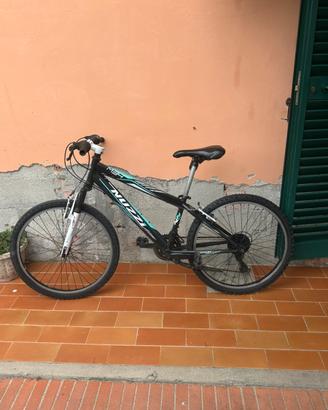 Bicicletta nuzzi