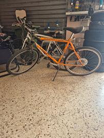 mtb mountain bike