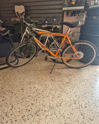 mtb mountain bike
