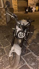 lem brutus