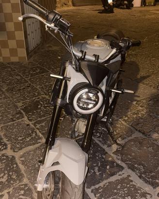 lem brutus