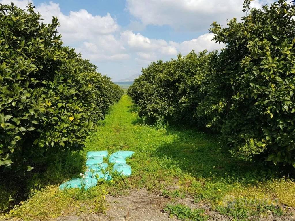 Immobile in asta di 8160 m² a Ramacca - Altro