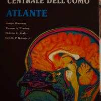 il sistema centrale dell' uomo atlante 