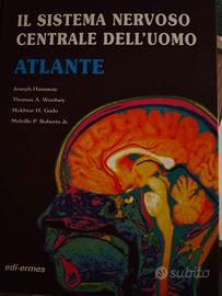 il sistema centrale dell' uomo atlante 