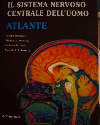 il sistema centrale dell' uomo atlante 