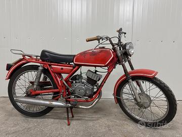 BM Bonvicini Jaguarino Gran turismo 50