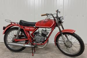 BM Bonvicini Jaguarino Gran turismo 50