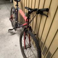 biciclette montain bike