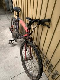 biciclette montain bike